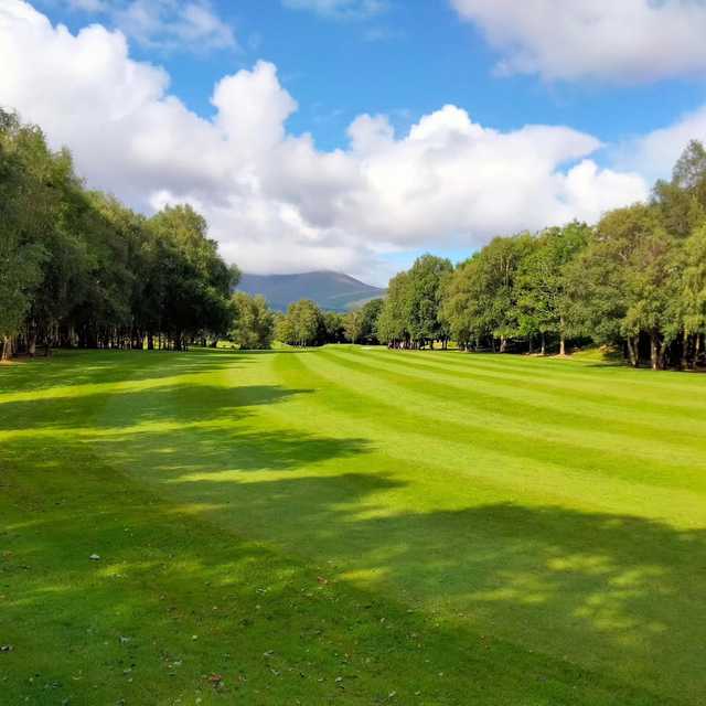 Ross Golf Course - photo 5