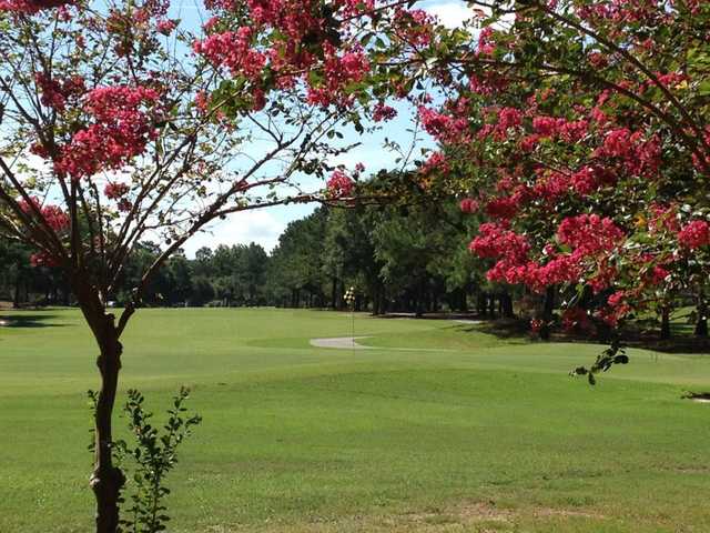 Quail Creek Golf Course - photo 1