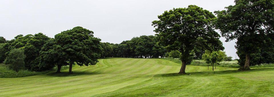 Calverley Golf Club - photo 6