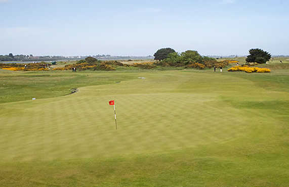 The Royal Dublin - photo 2