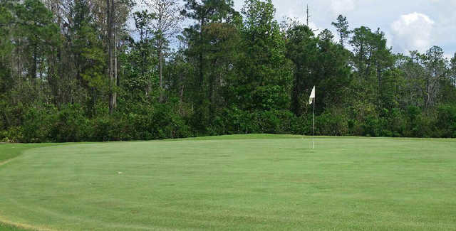 Stoneybrook East Golf Club - photo 4