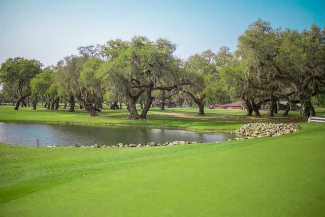 Silver Oaks 1