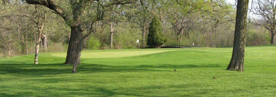 Blackhawk Golf Course - photo 3