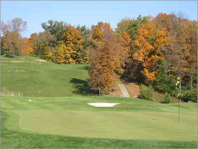 Pebble Creek Golf Course - photo 4