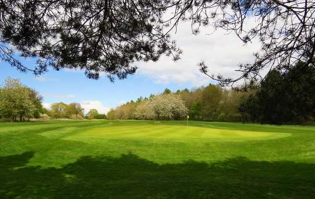 Whipsnade Park Golf Club - photo 2
