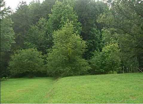 Maple Leaf Golf Club