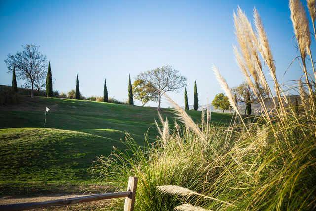 Bella Collina Towne & Golf Club - photo 5