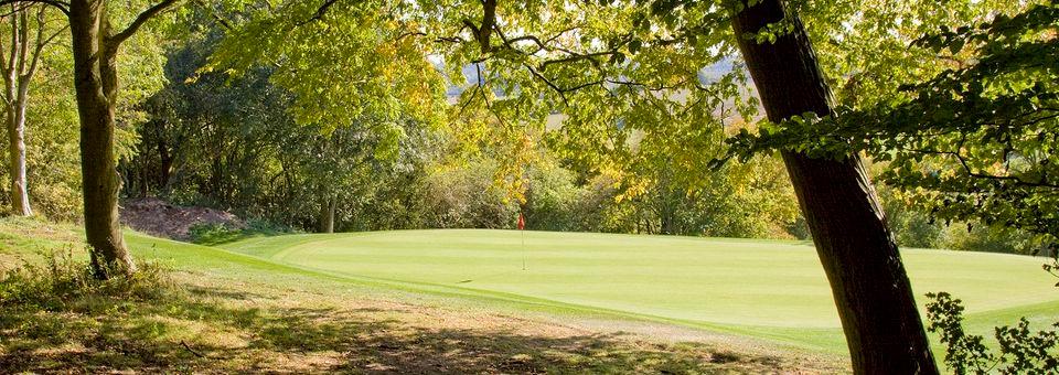 Chartridge Park Golf Club - photo 7