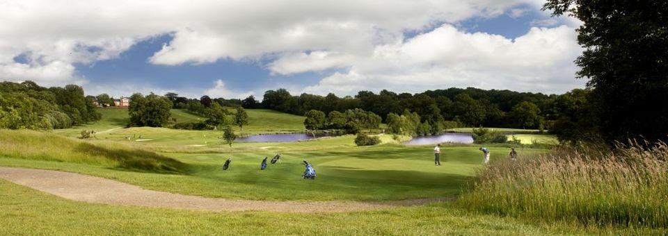 Nizels Golf & Country Club - photo 7