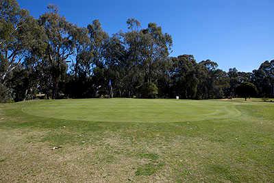 Deniliquin Golf Club - photo 4