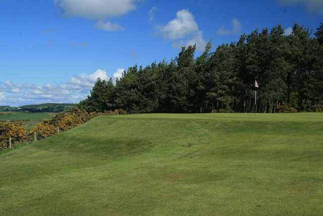 St. Michaels Golf Club - photo 8
