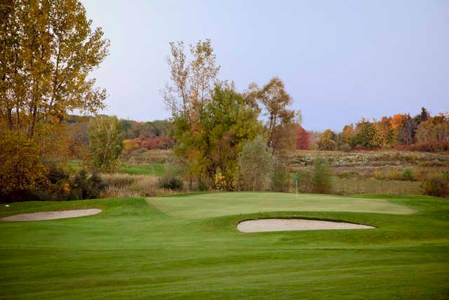 The Pheasant Golf Links - photo 4