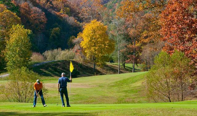 Wild Laurel Golf Course - photo 3