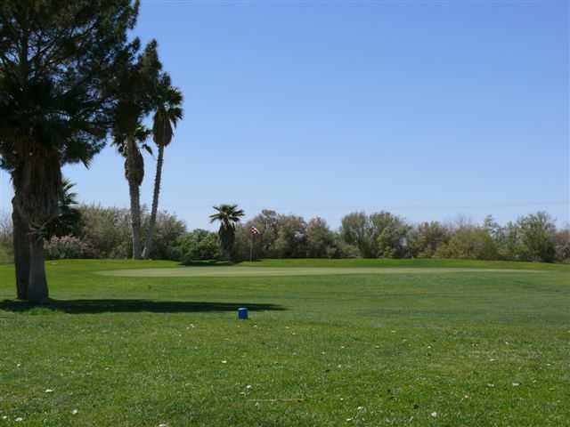 Tierra Grande Golf Club - photo 4
