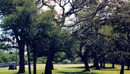 Killian Greens Golf Club - photo 6