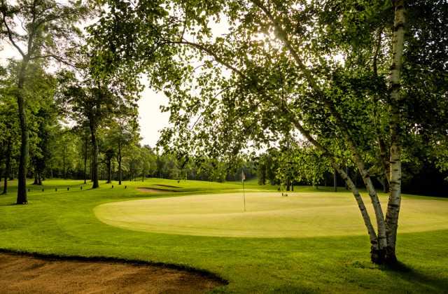 The Pines At Grand View Lodge - photo 5