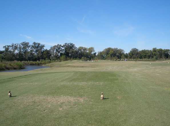 Pelican Point Golf Club - photo 4