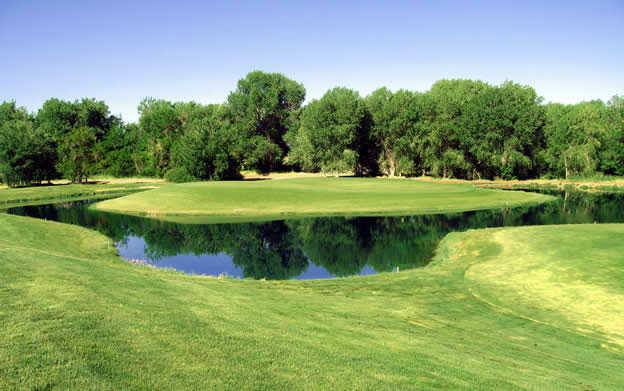 Paradise Golf Resort - photo 2