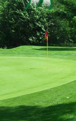 Sunnyhill Golf & Recreation - photo 2