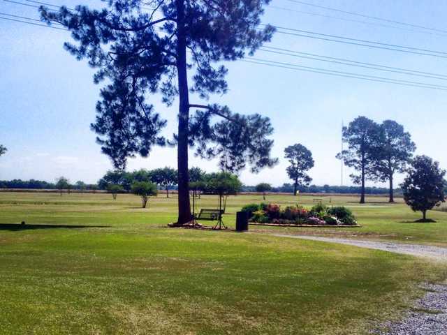 Cajun Pine Golf Club - photo 1