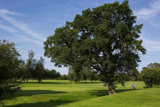 Clays Golf Club - photo 5