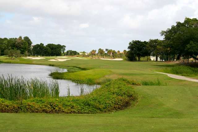 Davie Golf Club - photo 4
