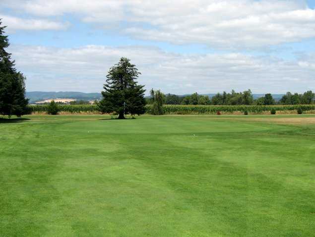 Sunset Grove Golf Club - photo 6