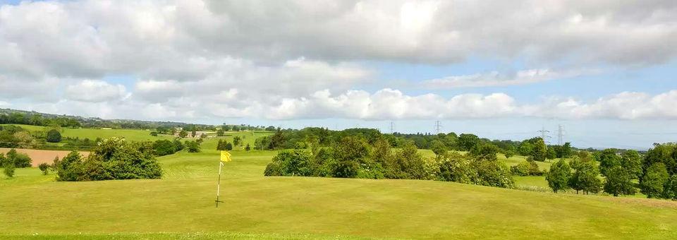 Flint Mountain Park Golf Course - photo 3