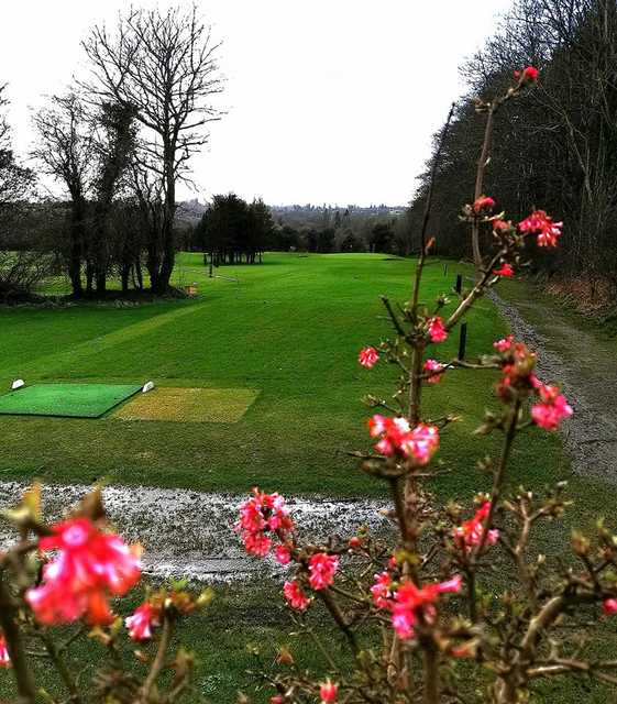 Strokestown Golf Club - photo 2