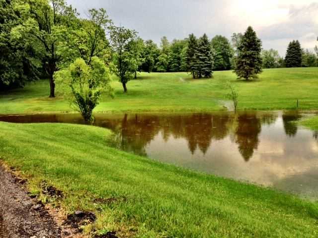 Berkshire Hills Golf Club - photo 3