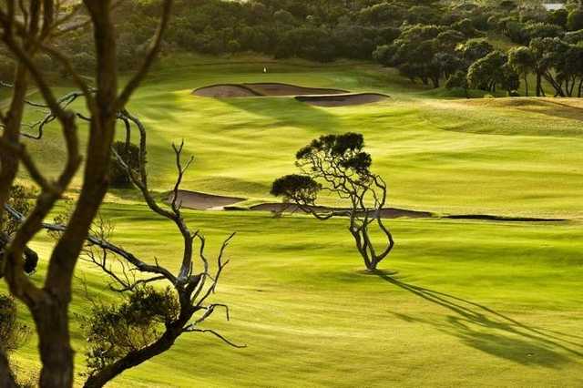 Portsea Golf Club - photo 8
