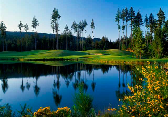Gold Mountain Golf Club - Olympic Course - photo 5