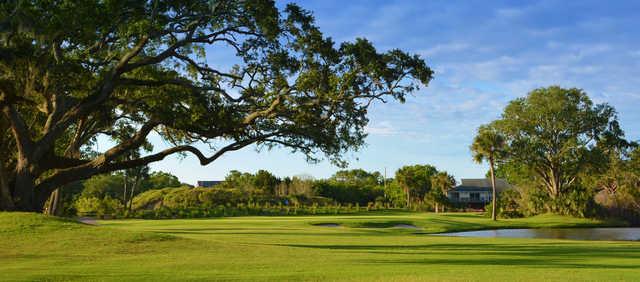 Plantation - photo 2