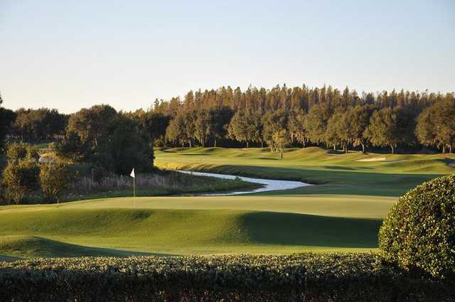 TPC Tampa Bay - photo 8