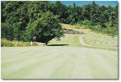Wildwood Golf Course - photo 7