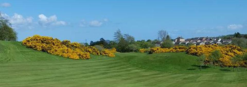 Auchterderran Golf Club - photo 6