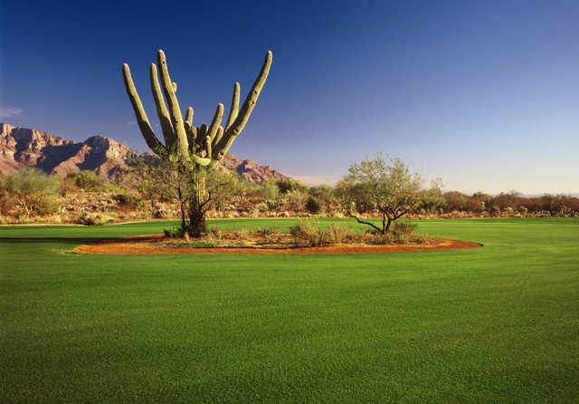 The Golf Club at Vistoso - photo 2