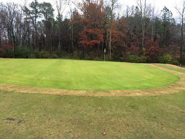 Twin Bridges Golf Club - photo 2