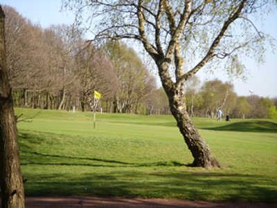 Tinsley Park Golf Course - photo 4