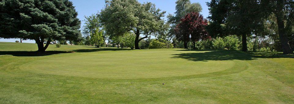 Scotch Pines Golf Course - photo 4