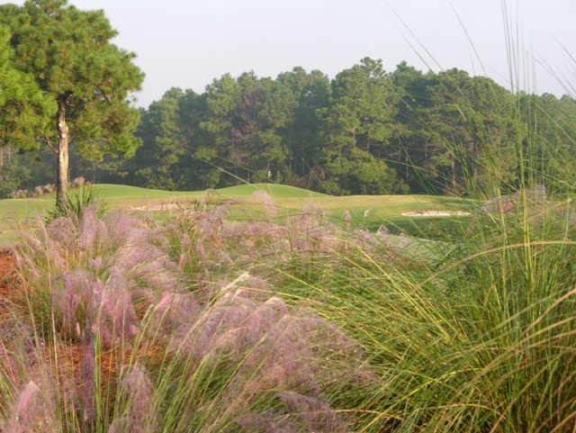 Burning Ridge Golf Course - photo 3
