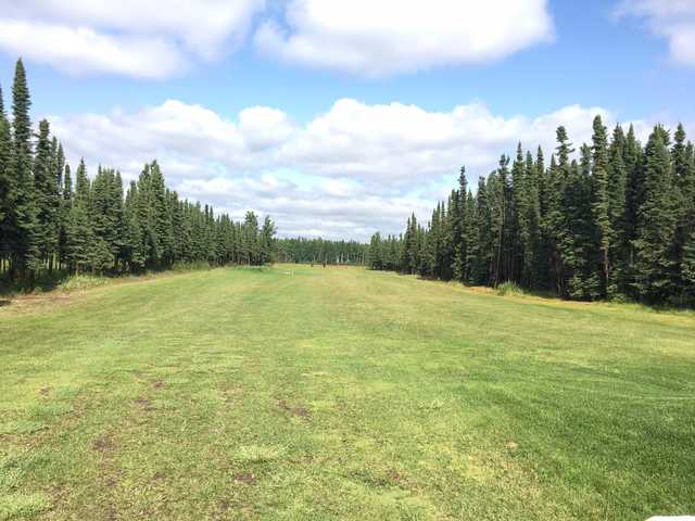 Bird Homestead Golf Course