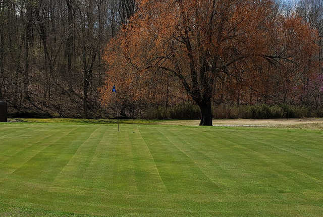 Pennyrile Forest - photo 2