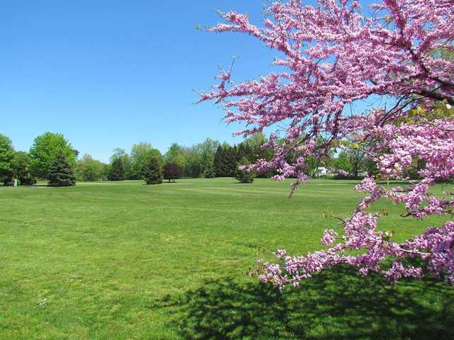 Black Brook Golf Course - photo 3