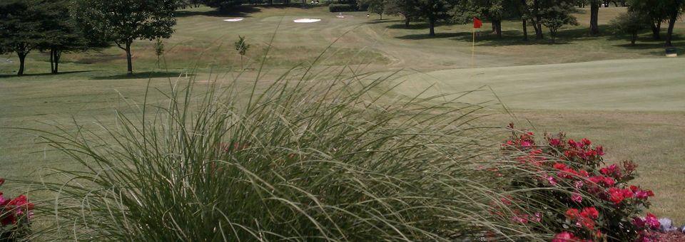 Hollenback Golf Club - photo 4