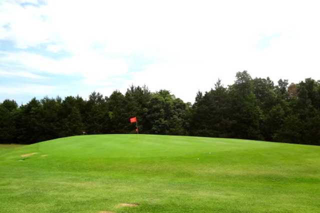 Theodosia Country Club - photo 2