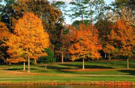 Country Club of Birmingham - photo 3