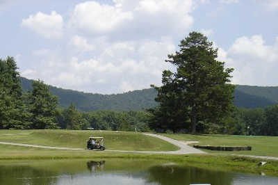 Mossy Creek - photo 3