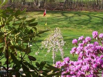 Melody Hill Golf Course - photo 3