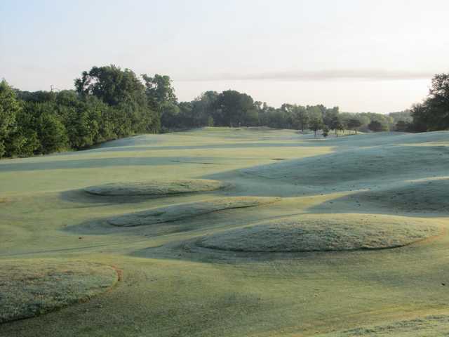 Riverside Golf Club - Dallas - photo 5